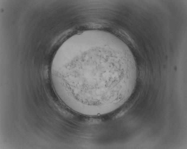 X0000081300549200702012312