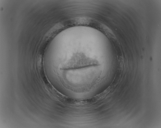 X0000081300550200702012312