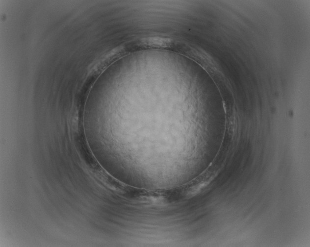 X0000081300552200702012312