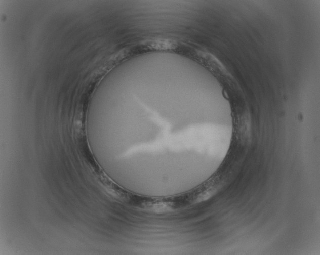 X0000081300553200702012312