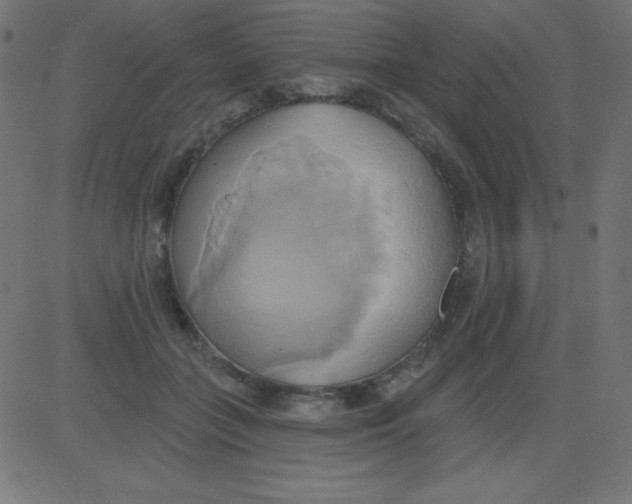 X0000081300555200702012312