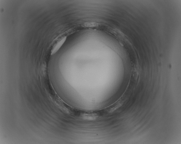 X0000081300556200702012312