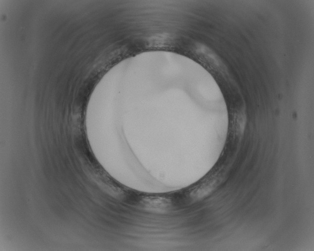 X0000081300557200702012312