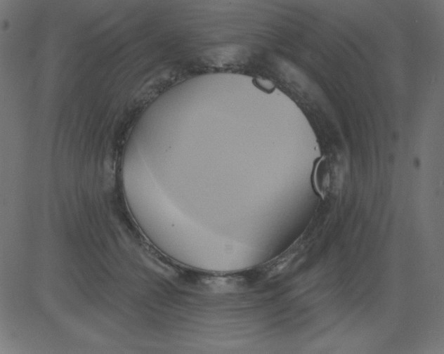 X0000081300558200702012312