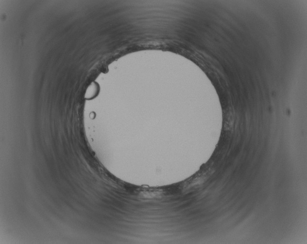 X0000081300560200702012312