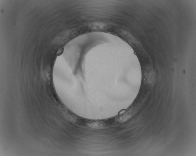 X0000081300561200702012312