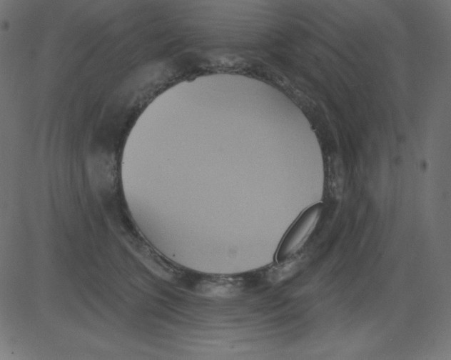 X0000081300563200702012312