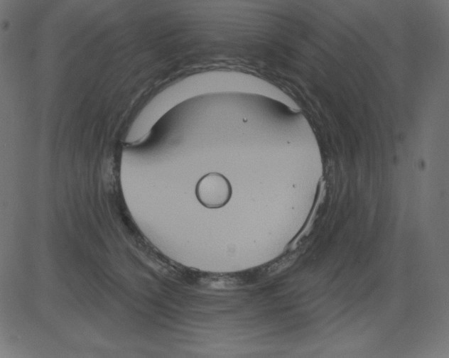 X0000081300564200702012312