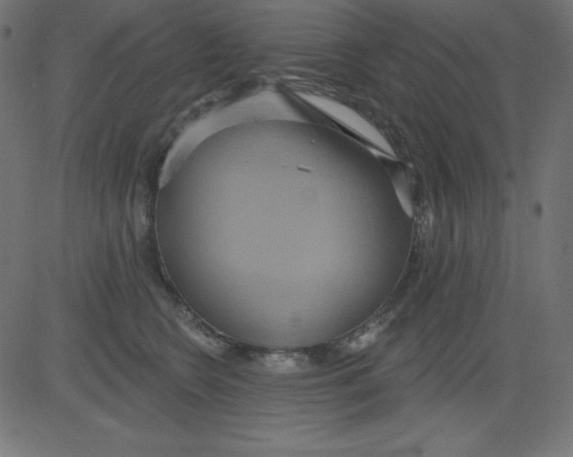 X0000081300566200702012312