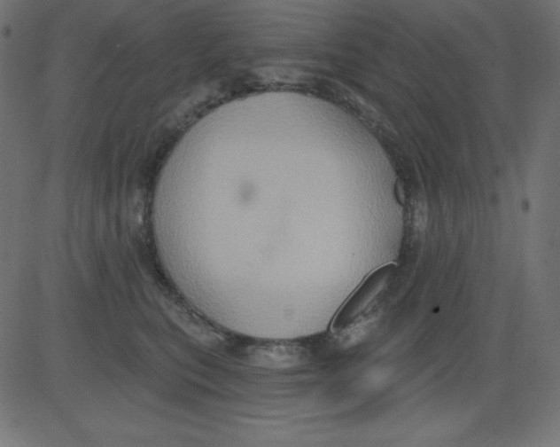 X0000081300567200702012312