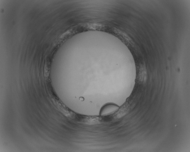 X0000081300569200702012312