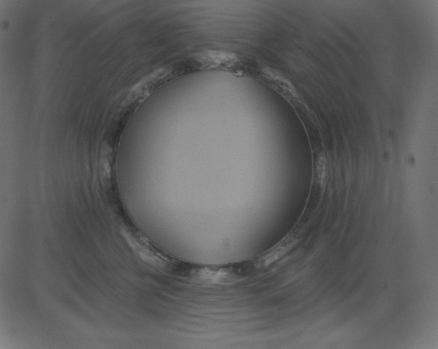 X0000081300570200702012312