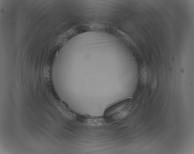 X0000081300571200702012312