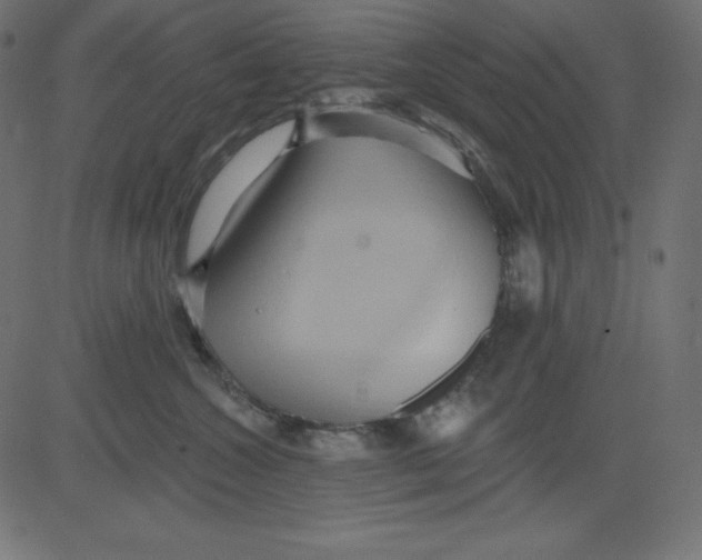 X0000081300572200702012312