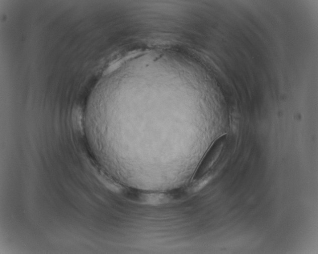 X0000081300575200702012312