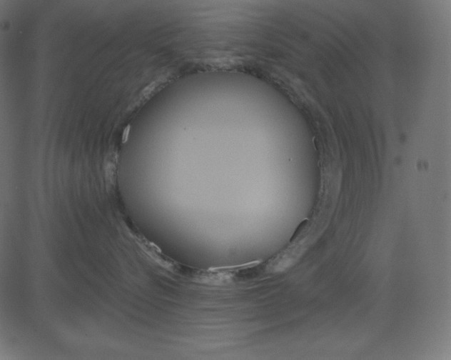 X0000081300576200702012312