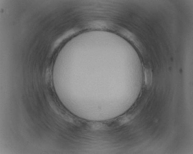 X0000081300579200702012311