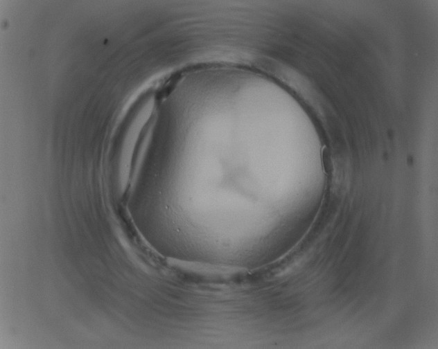 X0000081300580200702012311