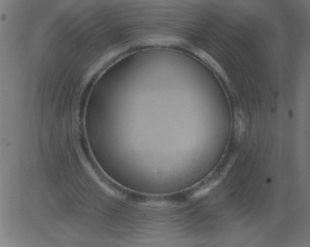 X0000081300581200702012311