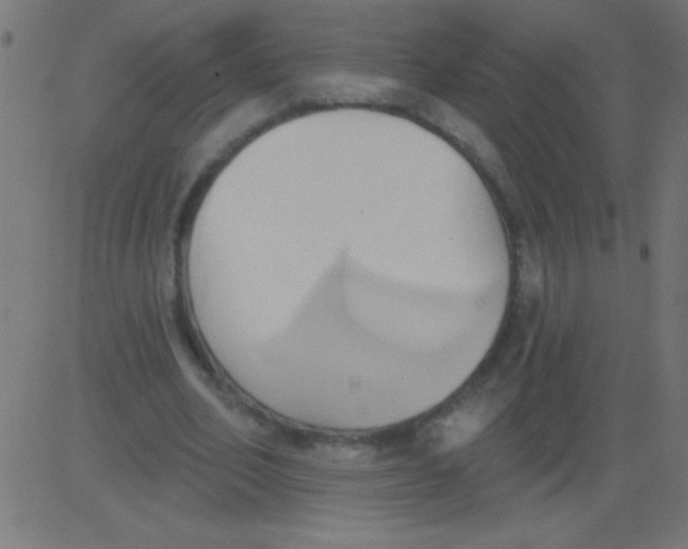 X0000081300582200702012311