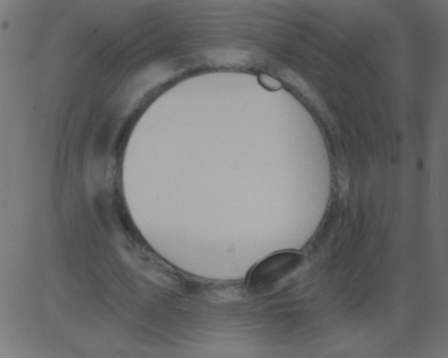 X0000081300583200702012311