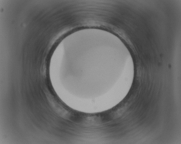 X0000081300584200702012311