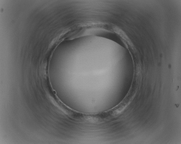 X0000081300585200702012311