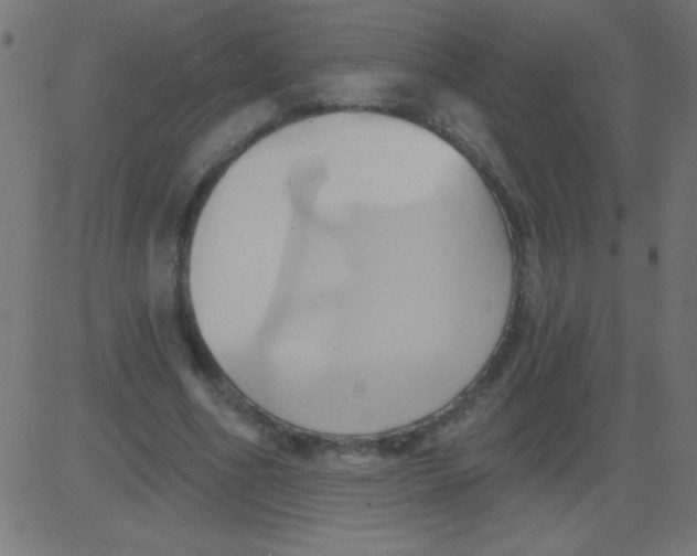 X0000081300586200702012311