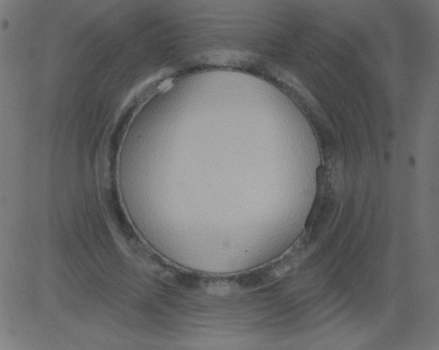 X0000081300587200702012311