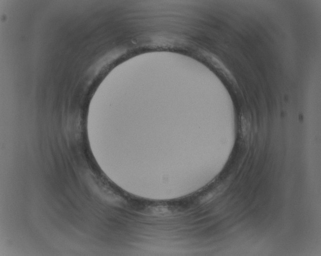 X0000081300588200702012311