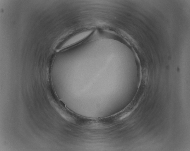 X0000081300589200702012311