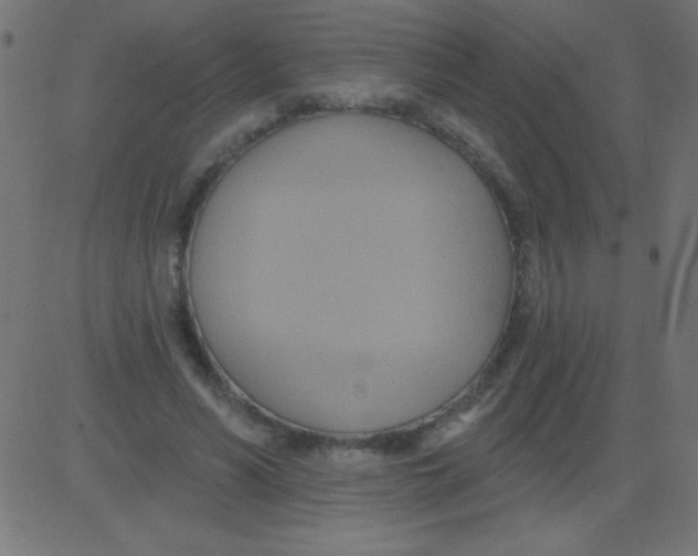 X0000081300590200702012311