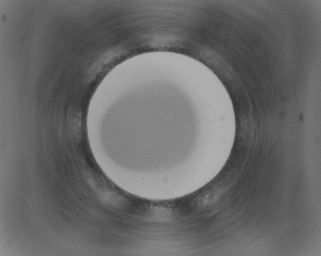 X0000081300592200702012311