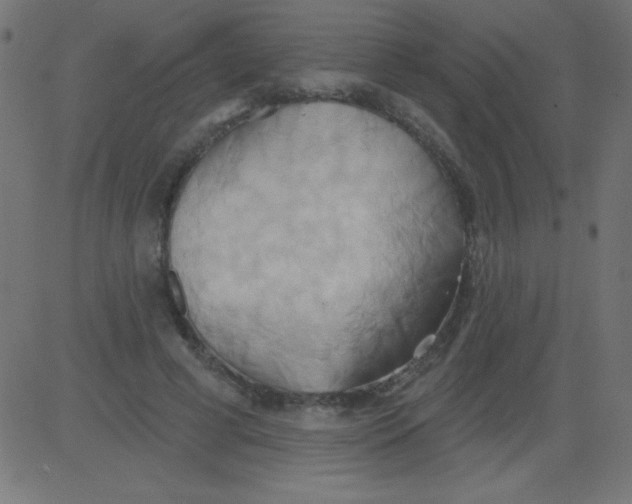 X0000081300593200702012311