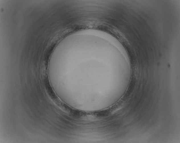 X0000081300594200702012311