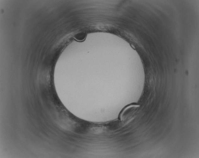 X0000081300595200702012311