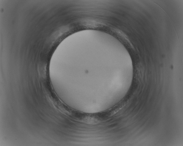 X0000081300596200702012311