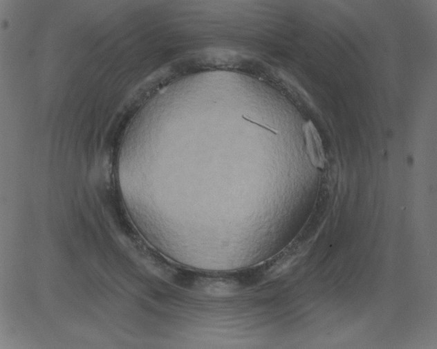 X0000081300597200702012311