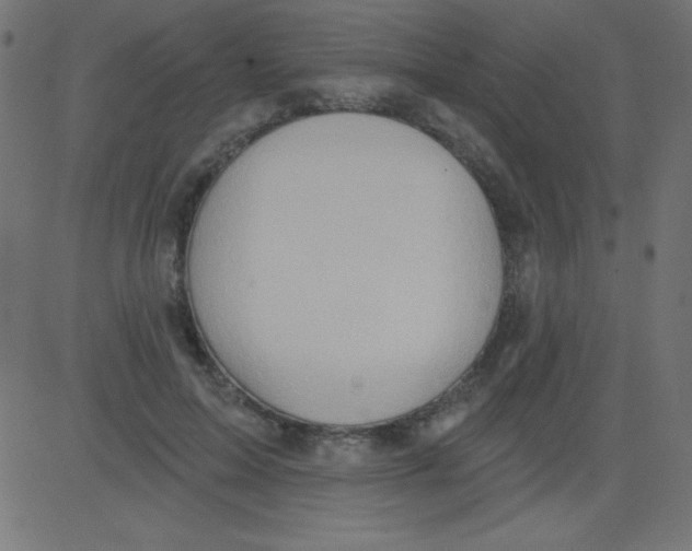 X0000081300599200702012311