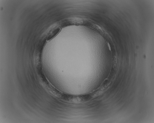 X0000081300600200702012311