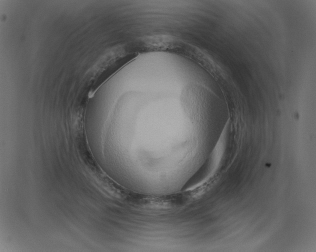 X0000081300601200702012311