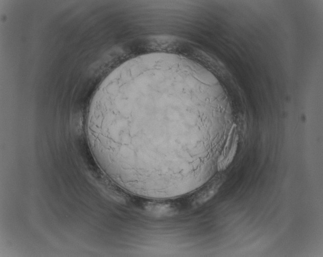 X0000081300602200702012311