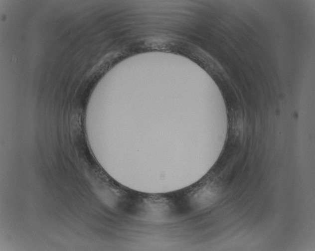 X0000081300603200702012311