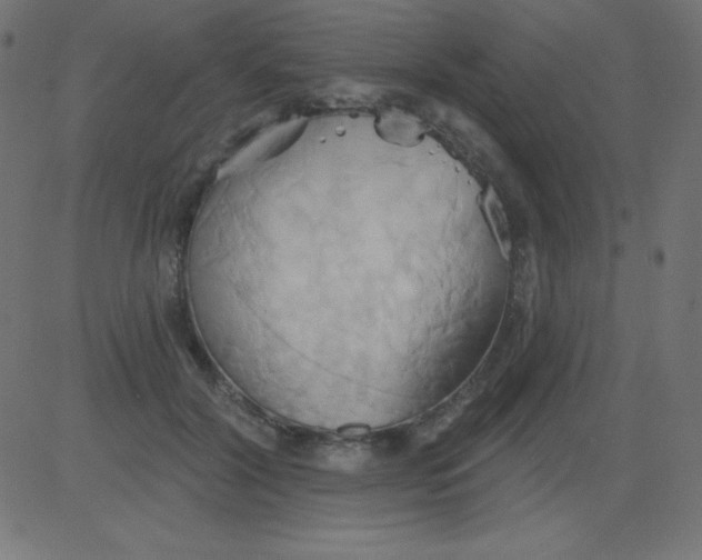 X0000081300604200702012311