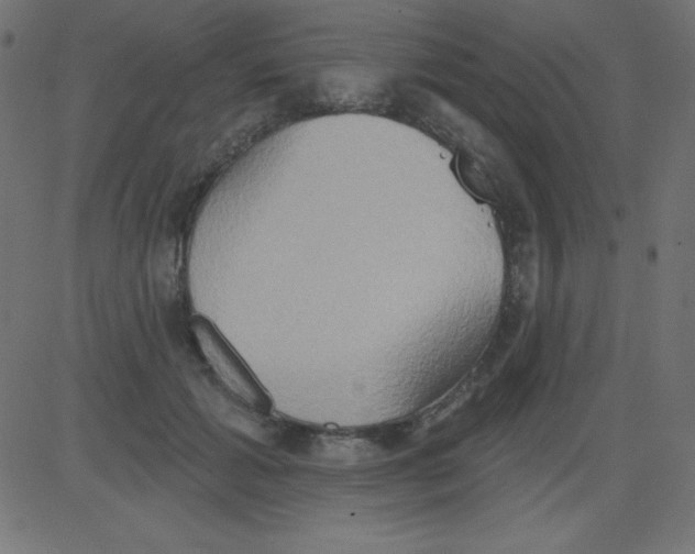 X0000081300605200702012311