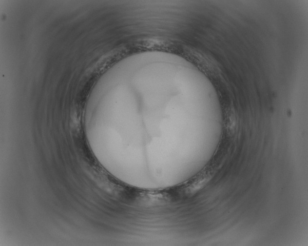 X0000081300607200702012311