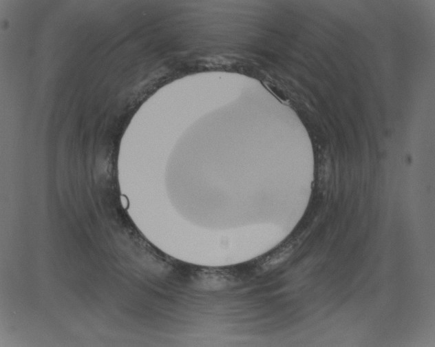 X0000081300608200702012311