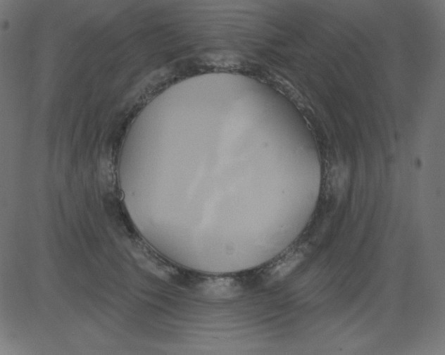 X0000081300609200702012311