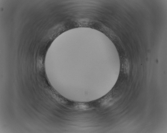 X0000081300610200702012311