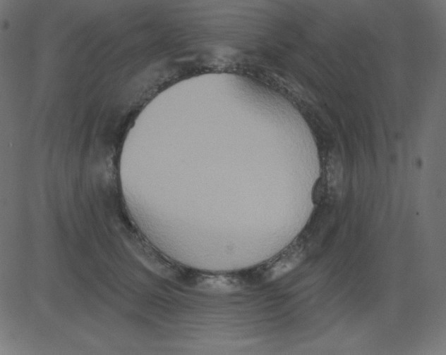 X0000081300611200702012311